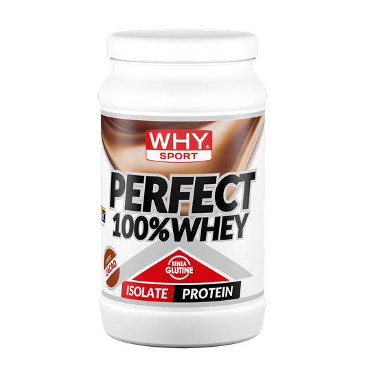PERFECT 100% WHEY 450 g
