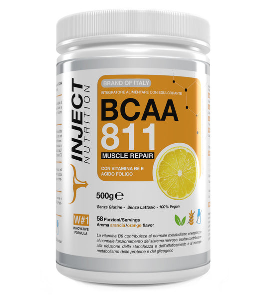 BCAA 8:1:1 MALATE (500g)